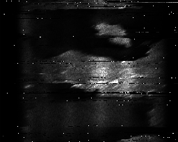 ascat_grayscale_ch5.png